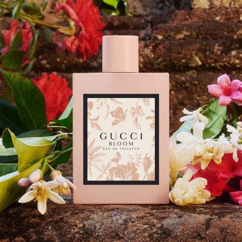 what scents does gucci bloom smell like|gucci bloom perfume knock off.